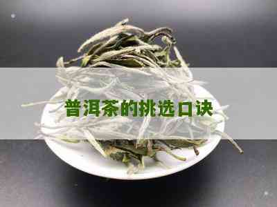 普洱茶选购口诀