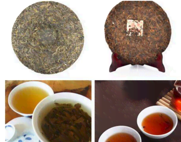 普洱茶两叶一芽：制作工艺、品质特点与冲泡方法详解，让品茗更上一层楼