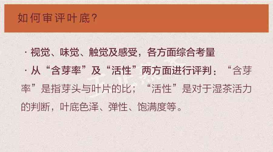 全面掌握化学方法催熟普洱茶：原理、步骤、注意事项与优缺点分析