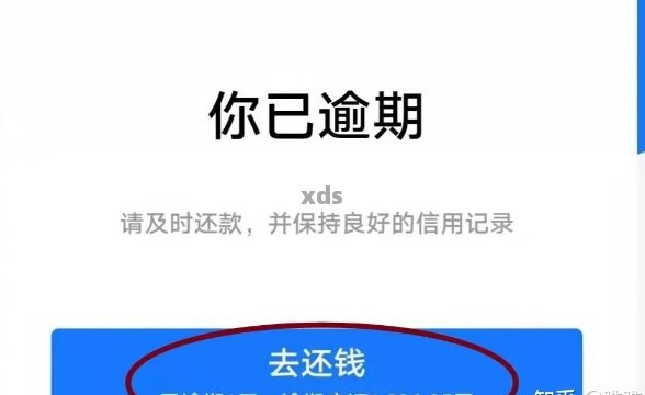 还钱逾期人数