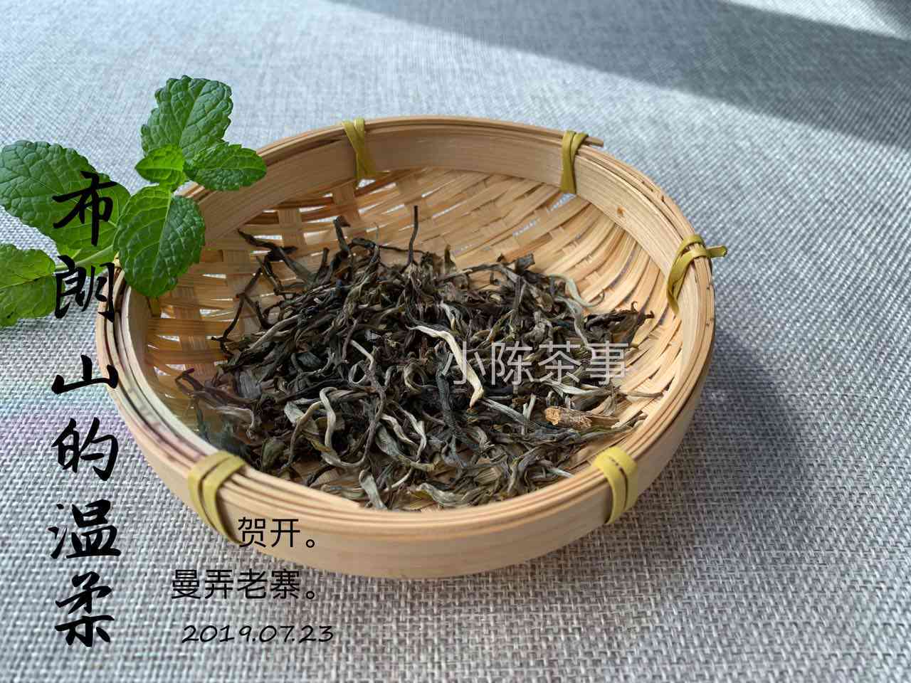 探究普洱茶与白茶的价格差异：哪个更贵？为什么？