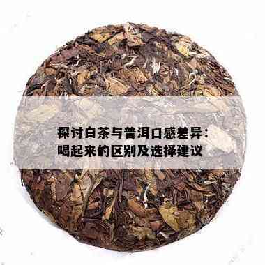 白茶和普洱茶的口感区别大吗