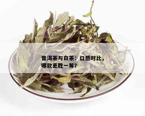 白茶和普洱茶的口感区别大吗