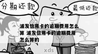 浦发信用卡28号还款日期31号还款会产生利息吗？如何计算逾期还款利息？