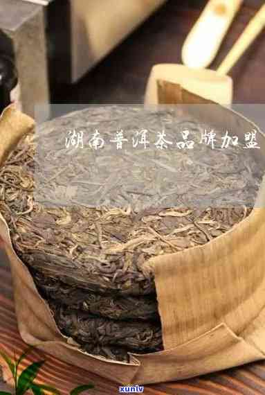 湖南普洱茶名茶