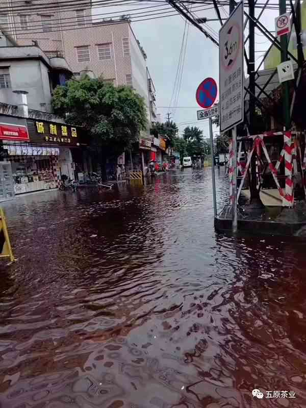 广州芳村普洱茶场水淹