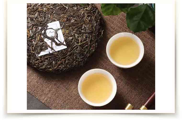 请问普洱茶属于什么茶类：红茶、绿茶还是黑茶？