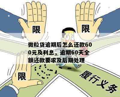 微粒贷逾期60天全额还款处理：如何解决逾期后的还款问题？