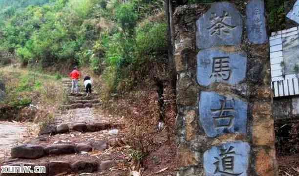 普洱茶马古道步线路全攻略：门票价格、游记分享与旅游线路详情