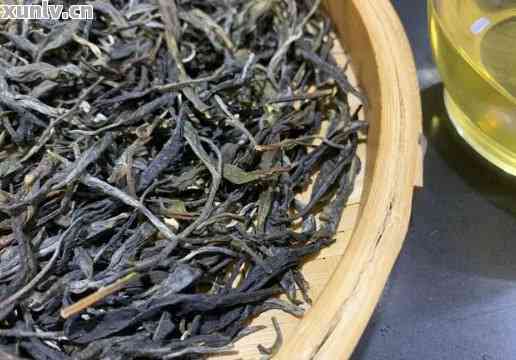 普洱茶品种特征介绍：探究普洱茶的种类及特点