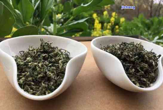 铁皮石斛与普洱茶的价格对比：全面解析两种茶叶的费用及性价比