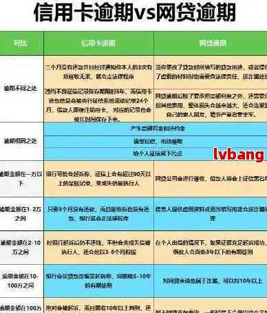 今年信用卡逾期的应对策略：实用指南