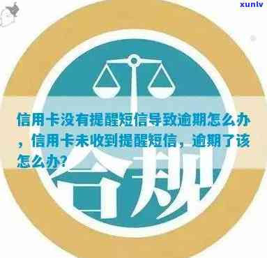 没有信用卡信息提醒信用卡逾期怎么办