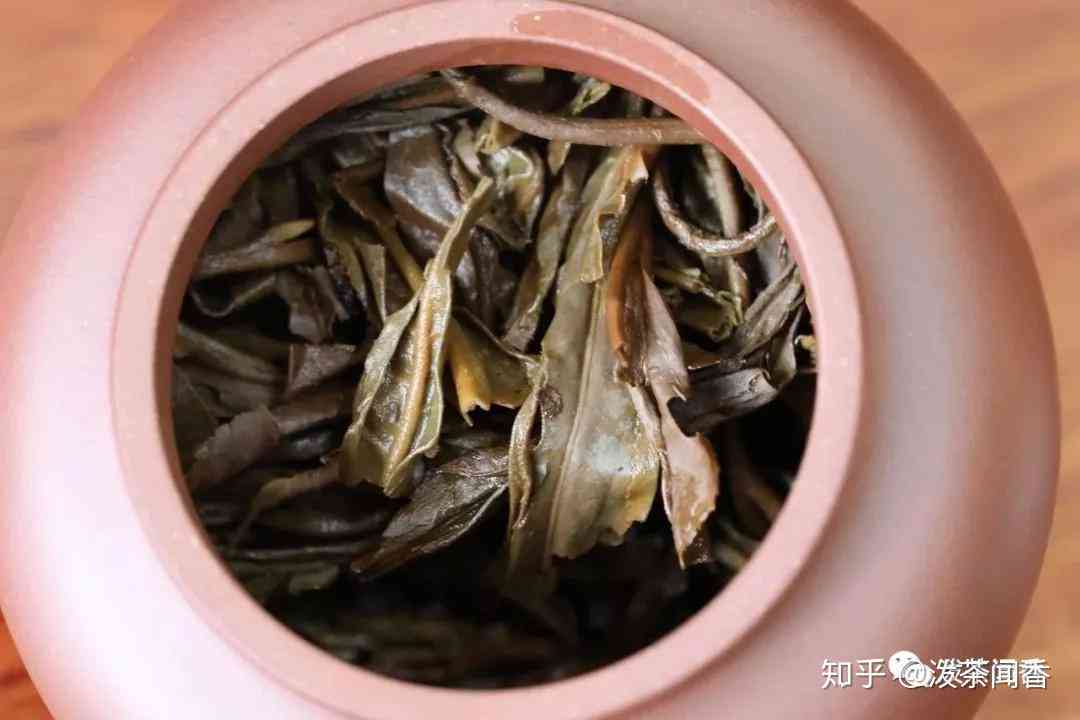 测评子青普洱茶的方法与技巧：全面解析如何品鉴这种茶叶