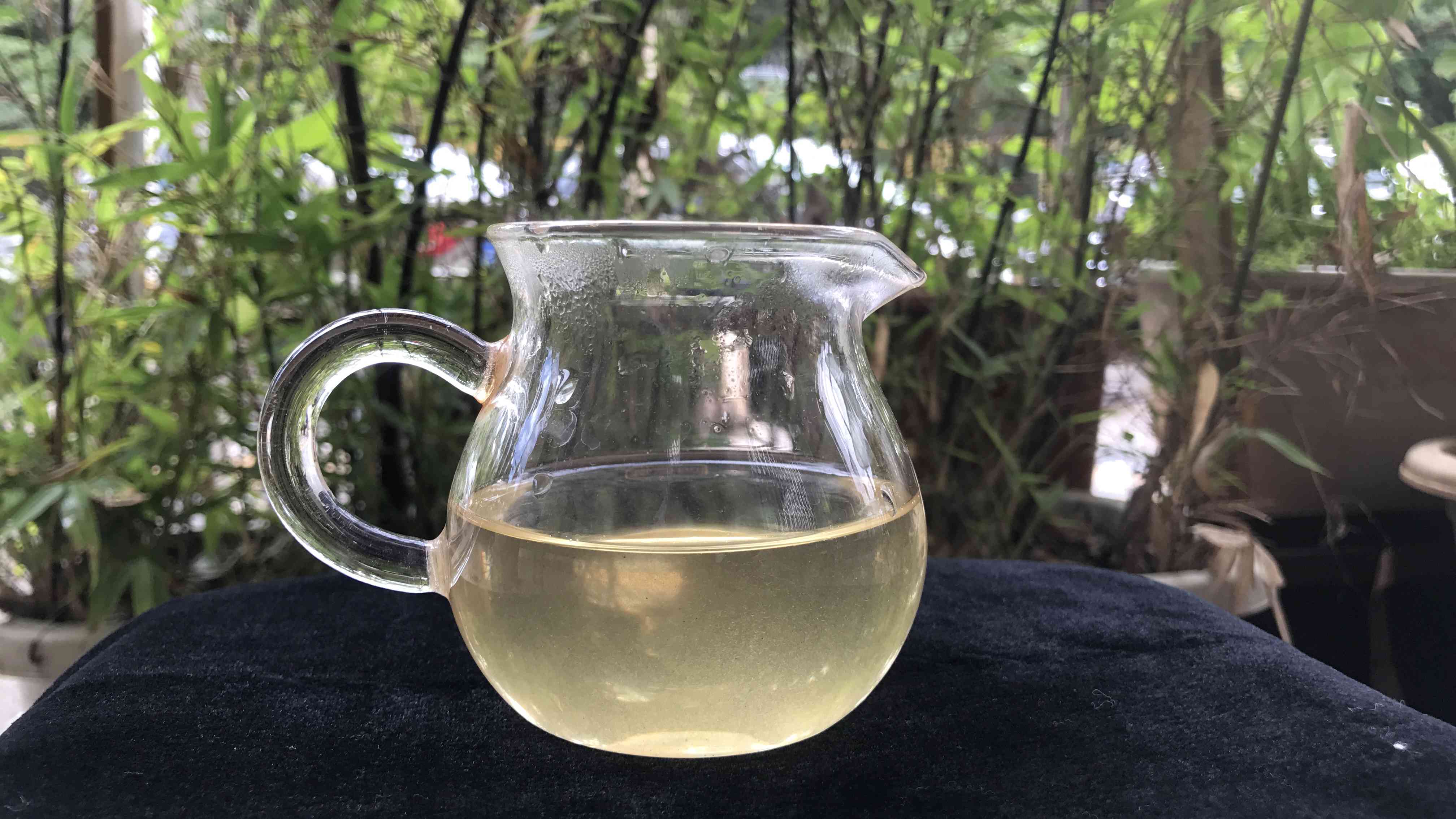 邦东古树茶是普洱茶吗？还是绿茶或白茶？特点口感如何？