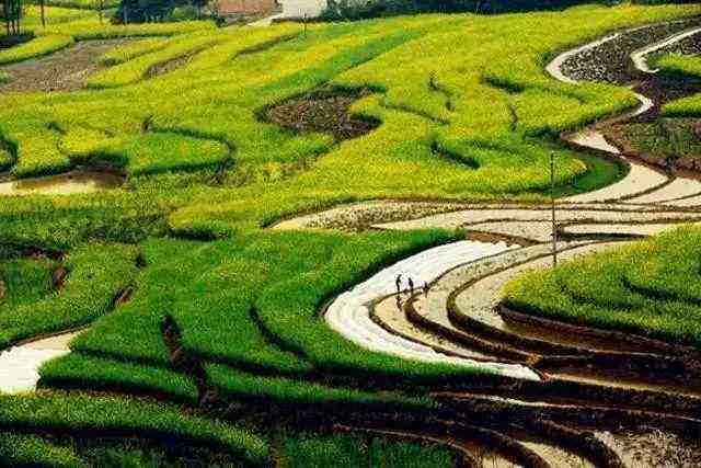 云县草皮街老鹳窝：地理位置、历背景、旅游景点和当地特色美食全解析