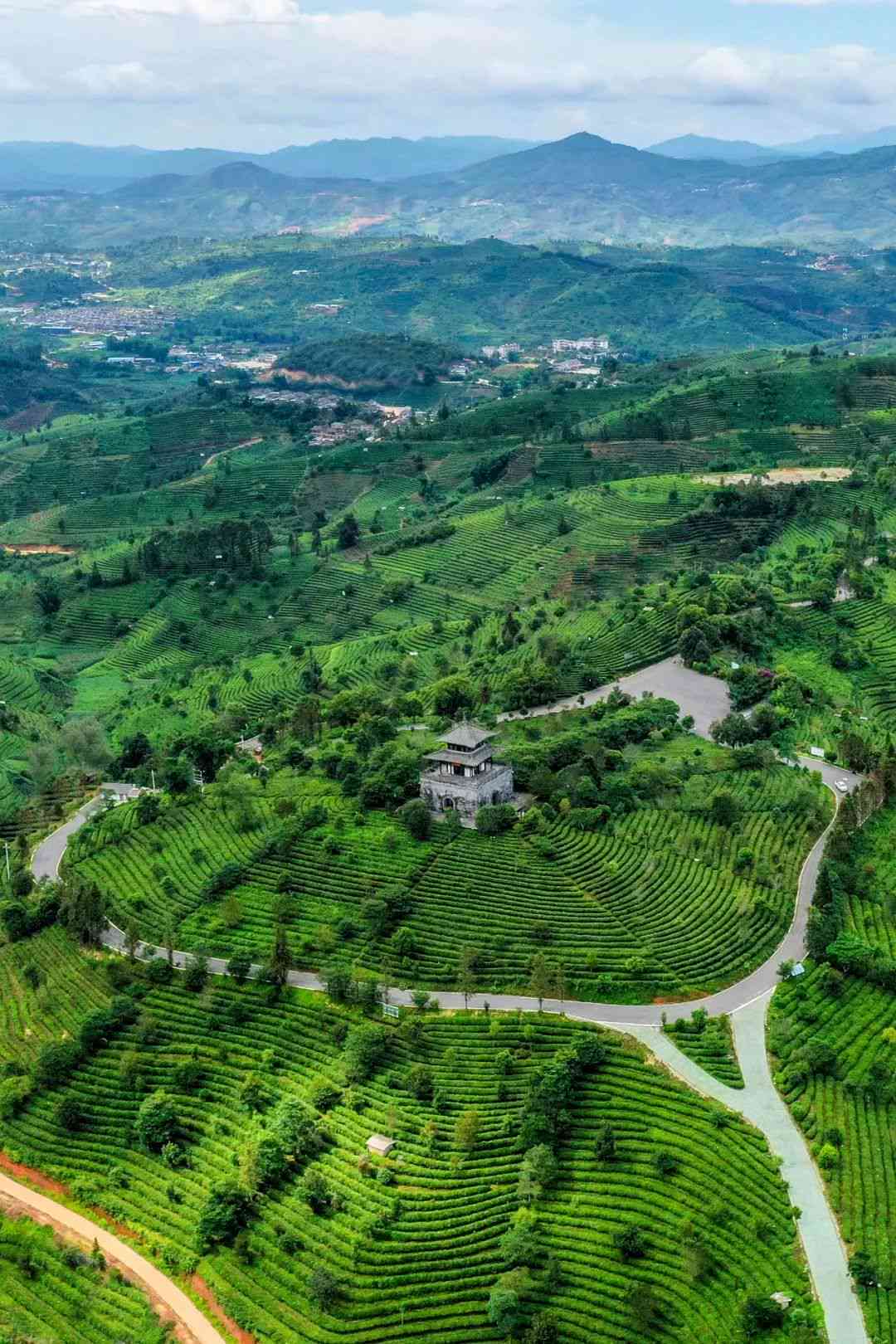 景市普洱茶博园