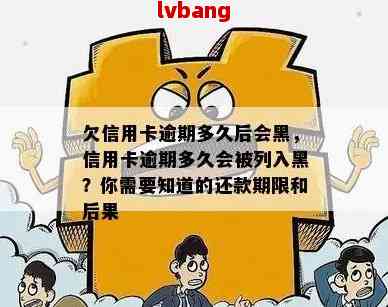 信用卡逾期还款期限与黑名单预警：了解逾期次数影响因素