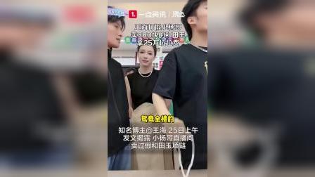 李佳琦双十一太阳花和田玉