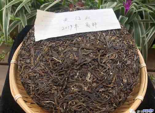 天门山普洱茶价格及选购指南：了解茶叶品质与市场行情