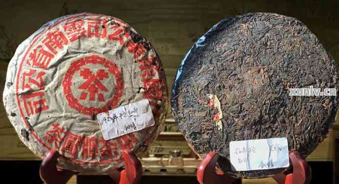 普洱茶茶饼存放及品鉴要点：如何选购、保存与品味普洱茶茶饼？