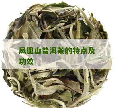 凤凰山普洱茶凤尖的价格及口感特点：古茶与古树茶的区别