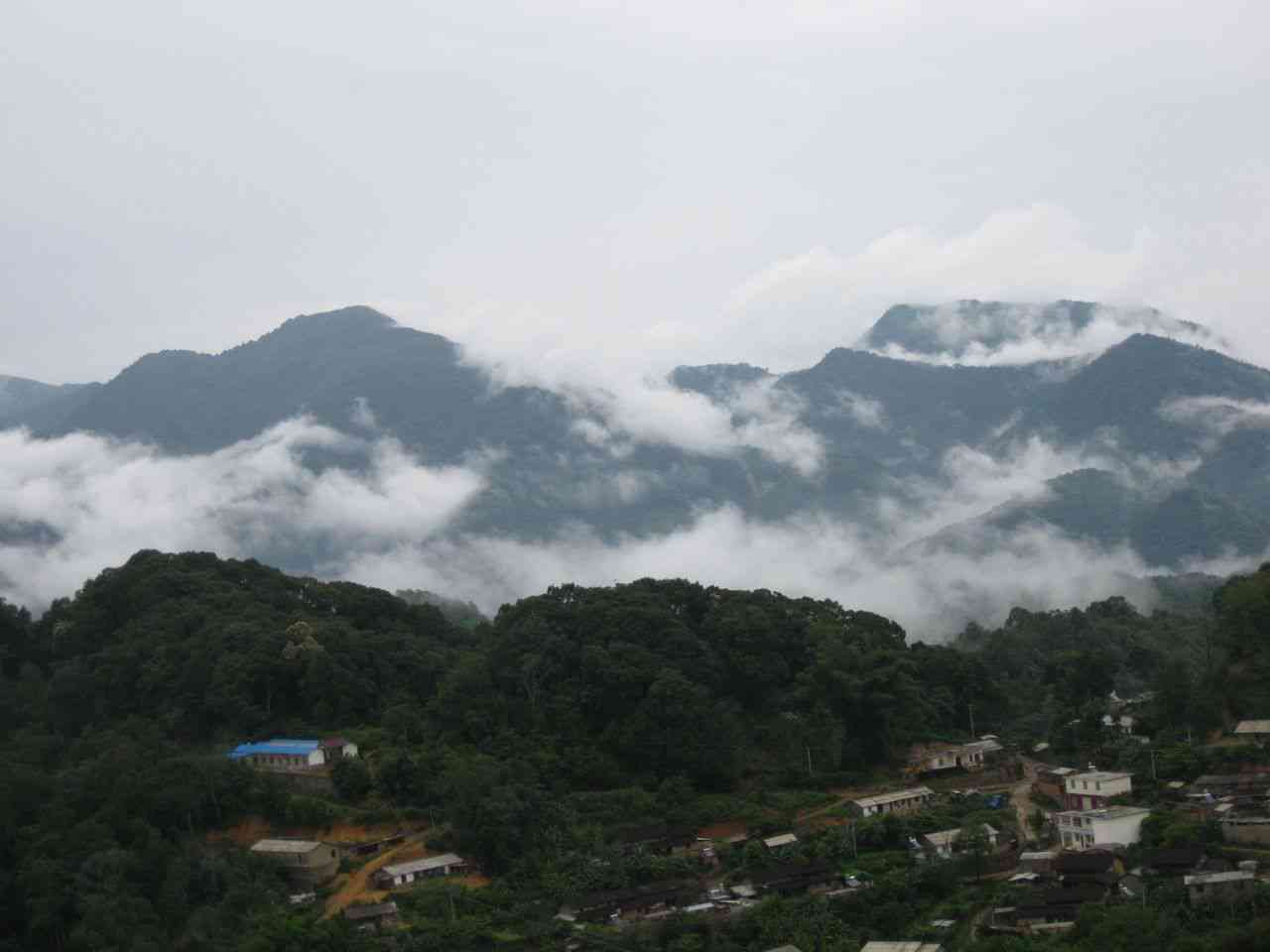 海普洱茶：地理海拔与山头风味的完美融合