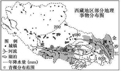 海普洱茶：地理海拔与山头风味的完美融合