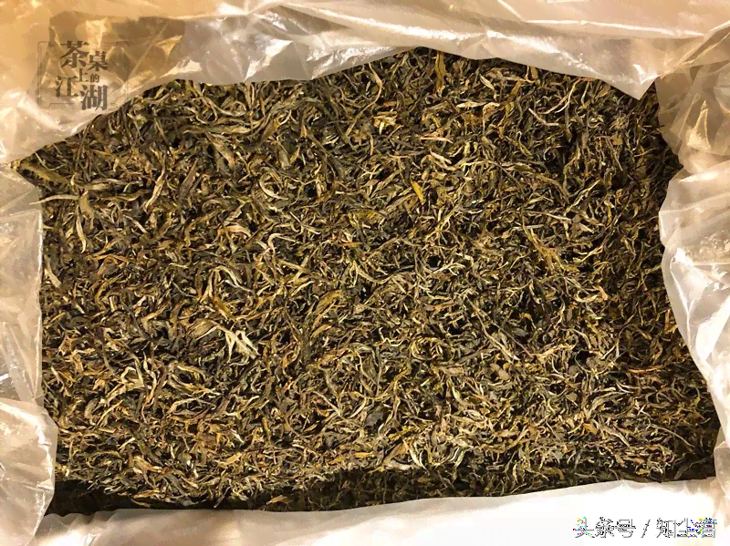 03年普洱茶中的小片口感与香味品质对比研究