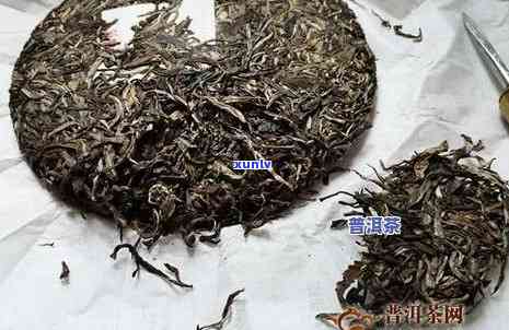 03年普洱茶中的小片口感与香味品质对比研究