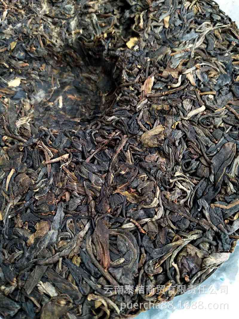 藏茶与普洱茶是同一棵茶树吗