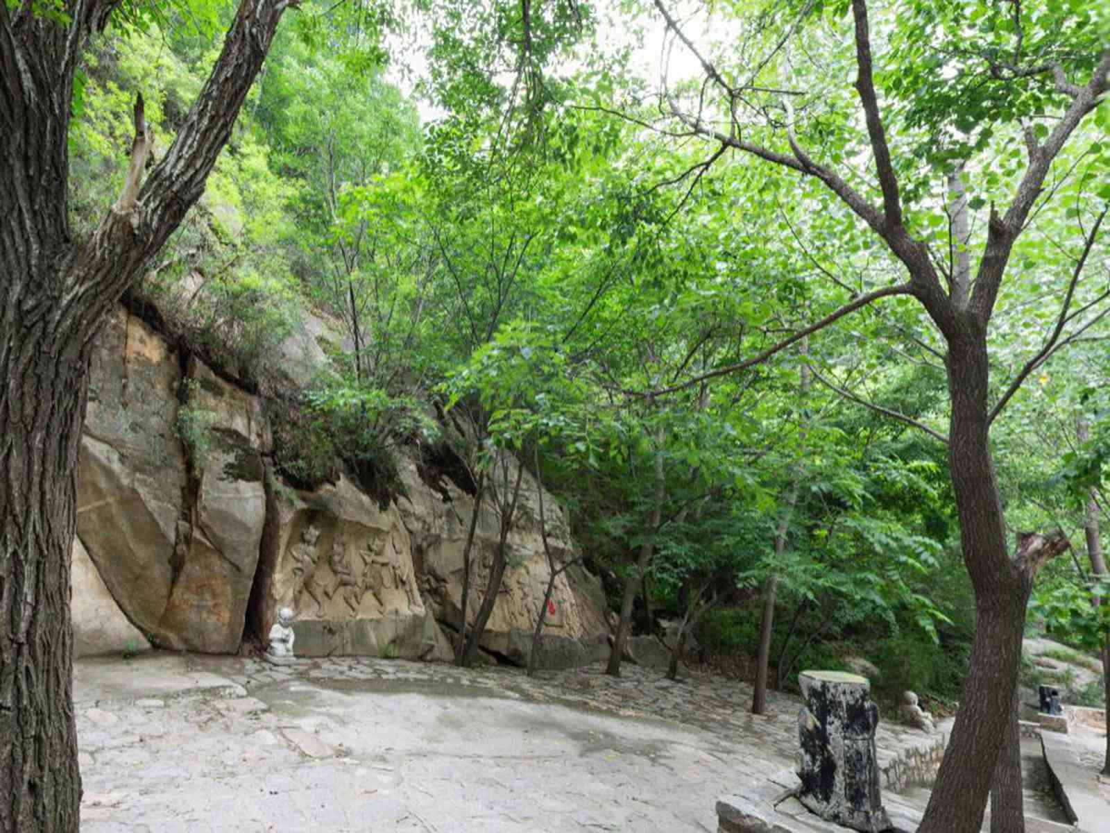 石洞山景区：简历、森林公园、风景区、旅游景点简介