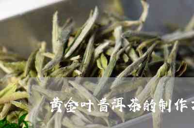 黄金叶普洱茶泡出来是什么色