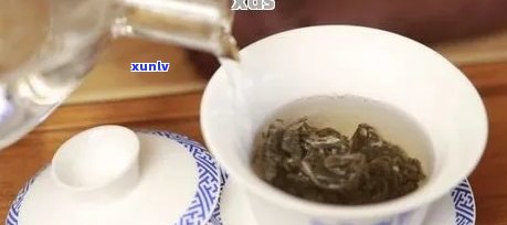 全方位指南：如何正确冲泡普洱茶，品鉴其独特风味与品质