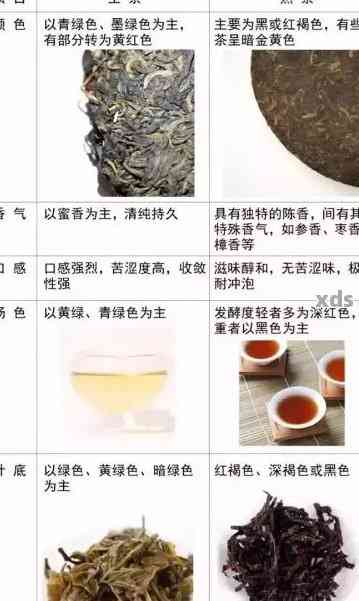 大益普洱茶怎么看等级：年份、品质、划分，掌握选购技巧！