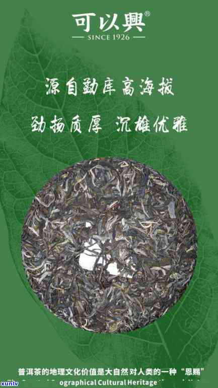 普洱茶新益号357克多少钱： 味道如何，值得尝试吗？