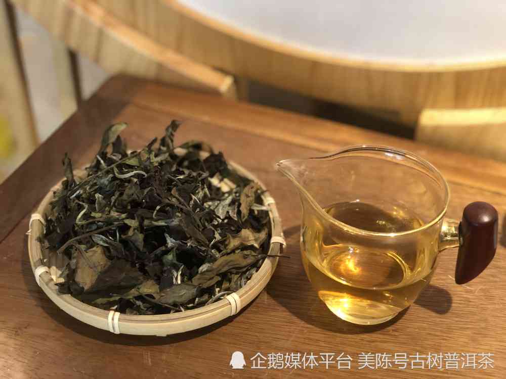 福建茶和云南普洱茶哪个好喝