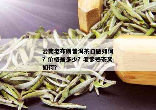 布朗老爹的普洱茶怎样：云南布朗老爹熟茶价格、口感与品质解析