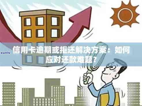 信用卡还款困境：解决策略与建议