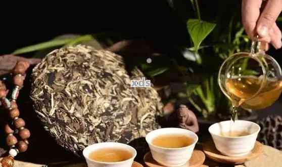 普洱茶品尝后感：300字心得体会