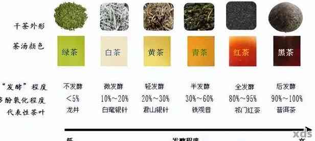 普洱茶、绿茶以及其他你可能想知道的茶叶种类：一篇全面的解答