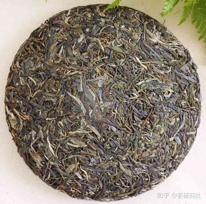 普洱是绿茶还是什么茶呢？好喝的普洱属于哪种茶类？普洱是否为绿茶？