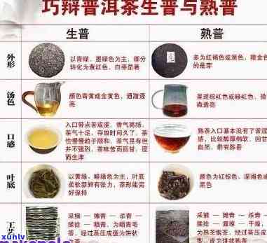 普洱茶：绿茶还是黑茶？了解其分类与特点，让你轻松辨识！