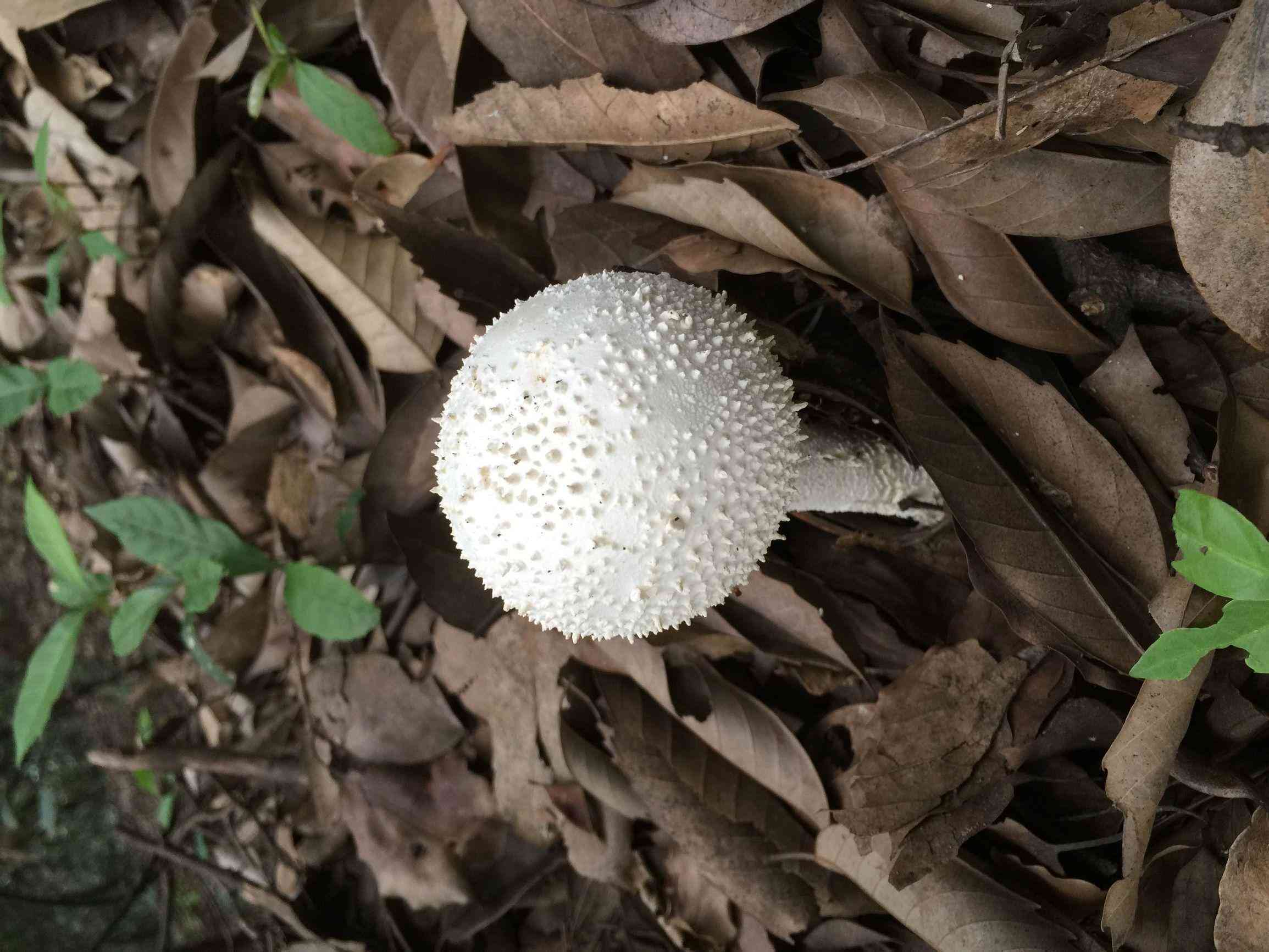 哪个季节适合戴玉镯