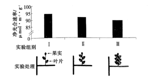 全面了解玉石硬度测量方法：从原理到实际应用，解答您的所有疑问