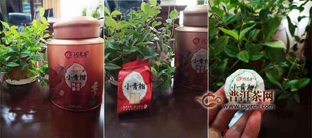 百鸟朝凤普洱茶：茶叶礼盒中的高品质选择与价格指南