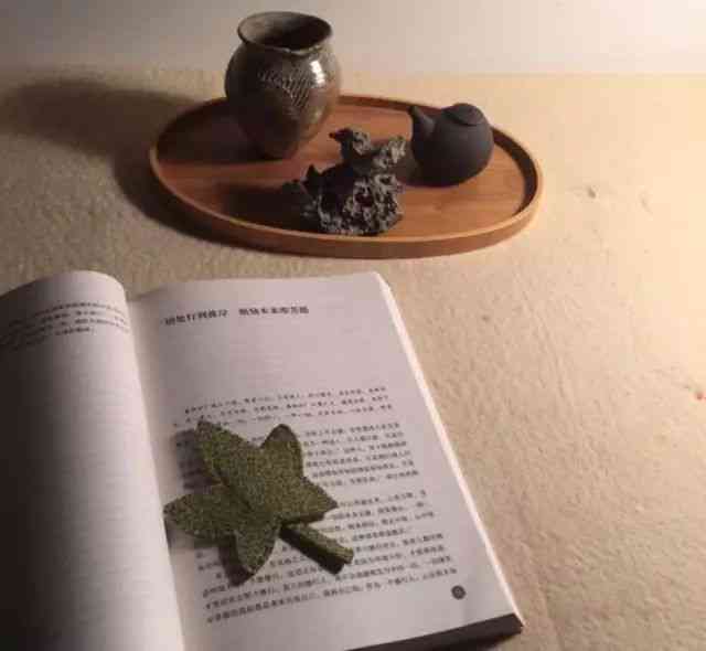 普洱茶品鉴：泡后茶叶的视觉宴与色香味解析