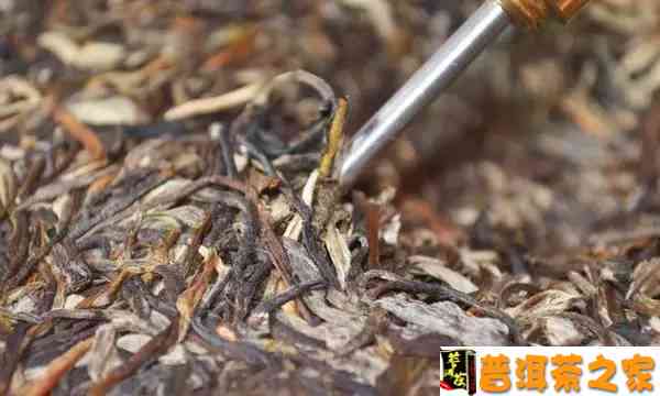 普洱茶撬块好还是撬散好？普洱茶的撬茶方法及效果解析