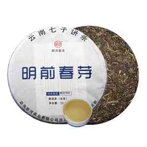 普洱茶春芽啥意思-普洱春芽是什么茶