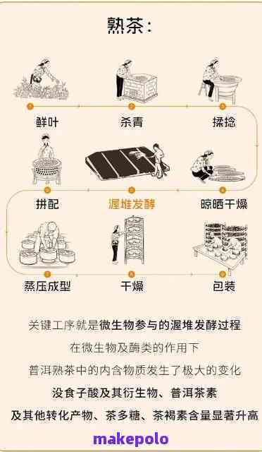 大益普洱茶的全方位解读：科学研究揭示其独特的健益处与医疗价值